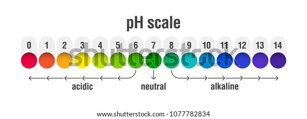 pH value scale\
chart for acid and alkaline solutions, acid-base balance\
infographic, vector\
illustration