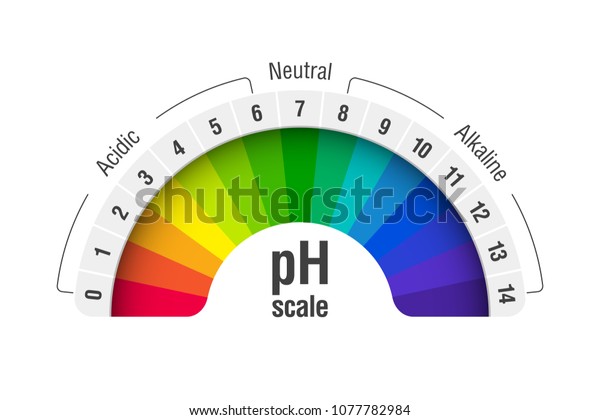 pH value scale\
chart for acid and alkaline solutions, acid-base balance\
infographic, vector\
illustration