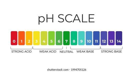 pH value scale chart for acid-alkaline solution. Acid-base balance infographic isolated on white background. Indicator for concentration of hydrogen ion in solution. Vector illustration.