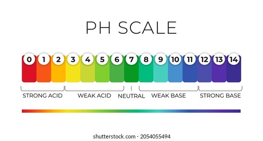 pH value scale chart for acid-alkaline solution. Acid-base balance infographic isolated on white background. Indicator for concentration of hydrogen ion in solution. Vector illustration.