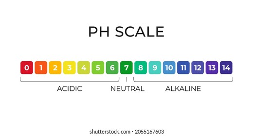 pH value scale chart for acid-alkaline solution. Acid-base balance infographic isolated on white background. Indicator for concentration of hydrogen ion in solution. Vector illustration.