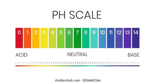 pH value scale chart for acid-alkaline solution. Acid-base balance infographic isolated on white background. Indicator for concentration of hydrogen ion in solution. Vector illustration.