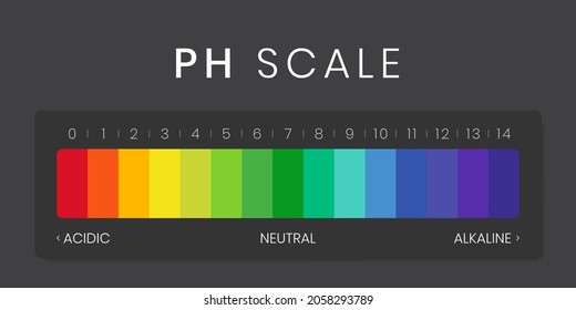 pH value scale chart for acid-alkaline solution. Acid-base balance infographic isolated on white background. Indicator for concentration of hydrogen ion in solution. Vector illustration.