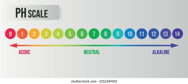 pH value scale chart for acid-alkaline solution. Acid-base balance infographic isolated on white background. Indicator for concentration of hydrogen ion in solution. Vector illustration.