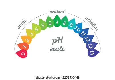 pH value scale chart for acid-alkaline solution. Acid-base balance infographic isolated on white background. Indicator for concentration of hydrogen ion in solution. Vector illustration.