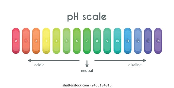pH value scale chart for acid-alkaline solution. Acid-base balance infographic isolated on white background. Indicator for concentration of hydrogen ion in solution. Vector illustration.