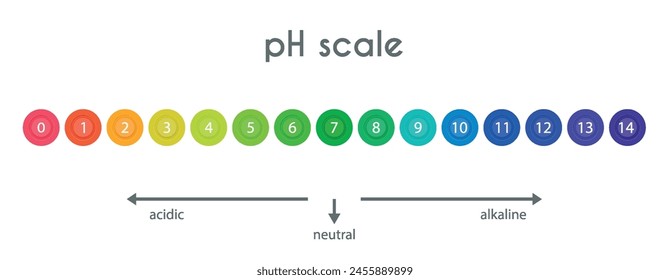 pH value scale chart for acid-alkaline solution. Acid-base balance infographic isolated on white background. Indicator for concentration of hydrogen ion in solution. Vector illustration.