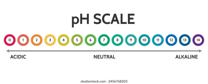 Escala de valores de pH para solución ácido-alcalina. Ilustración vectorial de diseño científico a escala PH. Gráfico colorido para la prueba. Gráfico del pH ácido neutro y alcalino de varios líquidos y disolventes. PH