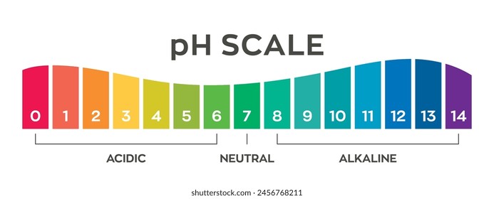 Escala de valores de pH para solución ácido-alcalina. Ilustración vectorial de diseño científico a escala PH. Gráfico colorido para la prueba. Gráfico del pH ácido neutro y alcalino de varios líquidos y disolventes. PH