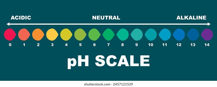 pH value scale chart for acid-alkaline solution. PH scale science design vector illustration. Colorful graph for test. Chart for the Acidic Neutral and Alkaline pH of various liquids and solvent. PH