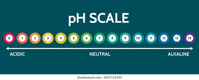 Escala de valores de pH para solución ácido-alcalina. Ilustración vectorial de diseño científico a escala PH. Gráfico colorido para la prueba. Gráfico del pH ácido neutro y alcalino de varios líquidos y disolventes. PH