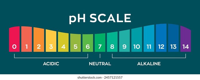 pH value scale chart for acid-alkaline solution. PH scale science design vector illustration. Colorful graph for test. Chart for the Acidic Neutral and Alkaline pH of various liquids and solvent.PH