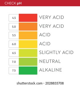 pH Value scale chart. Acid-base balance infographic. Education Poster