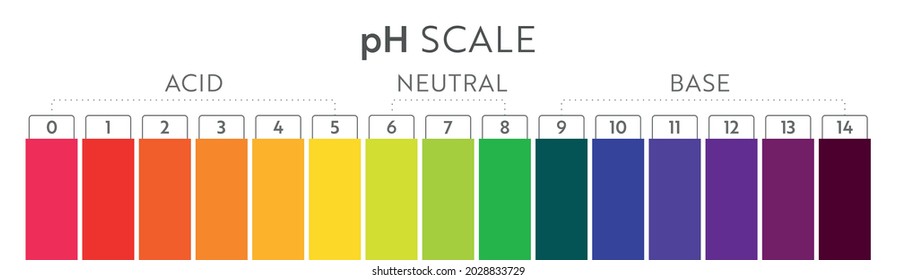 Ph Value Scale Chart Acidbase Balance Stock Vector (Royalty Free ...