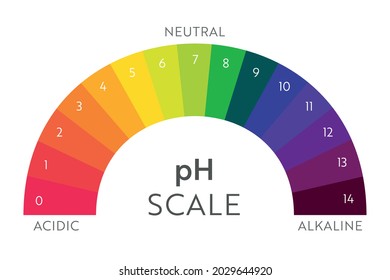 pH Value scale chart. Acid-base balance infographic. Education Poster