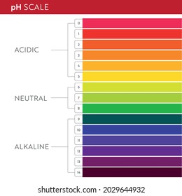 pH Value scale chart. Acid-base balance infographic. Education Poster