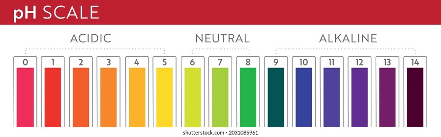 pH Value scale chart. Acid-base balance infographic. Education Poster