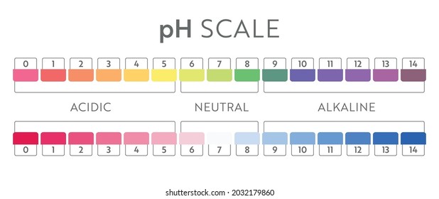 pH Value scale chart. Acid-base balance infographic. Education Poster