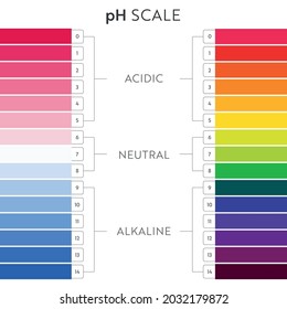 pH Value scale chart. Acid-base balance infographic. Education Poster