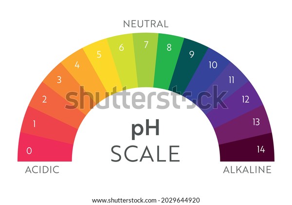 pH Value scale chart. Acid-base balance\
infographic. Education\
Poster