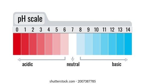 pH value scale chart meter for acid and base solutions isolated on white background. Chemistry test on plate - acid and base balance red and blue litmus indicator infographic. Flat vector illustration