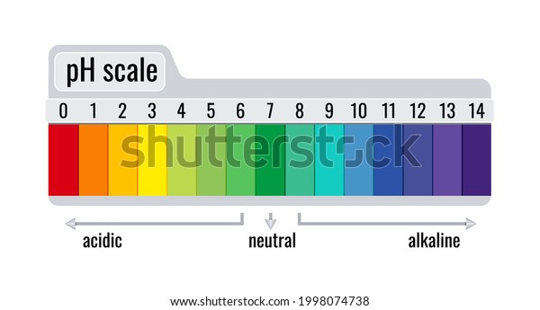 Ph Value Scale Chart Meter Acid Stock Vector (Royalty Free) 1998074738 ...