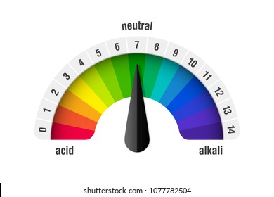 pH value scale meter for acid and alkaline solutions, acid-base balance infographic, vector illustration