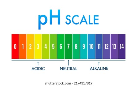 2,143 Acid value Images, Stock Photos & Vectors | Shutterstock