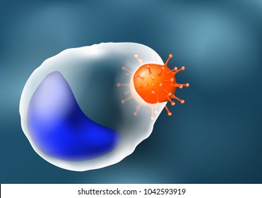 Phagocytosis. Leukocyte And Virus. Macrophage Is A White Blood Cell That Engulfs And Digests Viruses, Microbes, Cancer Etc. Human Immune System. Vector Illustration For Educational And Medical Use