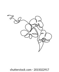 Phalaenopsis flower one line art. Continuous line drawing of plants, herb, flower, blossom, nature, flora, tropical flowers, orchid.