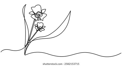 Phalaenopsis Orchid Flowers Continuous Line Drawing with Editable Stroke, Beautiful orchids line art pattern. Exotic flowers drawing on simple background, Collection of orchid flowers in vector.  pro.