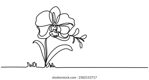 Phalaenopsis Orchid Flowers Continuous Line Drawing with Editable Stroke, Beautiful orchids line art pattern. Exotic flowers drawing on simple background, Collection of orchid flowers in vector.  pro.