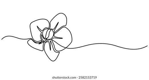 Phalaenopsis Orchid Flowers Continuous Line Drawing with Editable Stroke, Beautiful orchids line art pattern. Exotic flowers drawing on simple background, Collection of orchid flowers in vector.  pro.