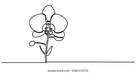 Phalaenopsis Orchid Flowers Continuous Line Drawing with Editable Stroke, Beautiful orchids line art pattern. Exotic flowers drawing on simple background, Collection of orchid flowers in vector.  pro.