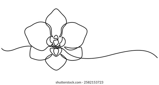 Phalaenopsis Orchid Flowers Continuous Line Drawing with Editable Stroke, Beautiful orchids line art pattern. Exotic flowers drawing on simple background, Collection of orchid flowers in vector.  pro.