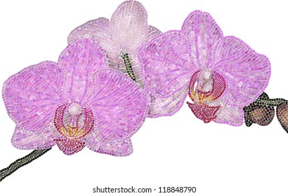 Phalaenopsis orchid stem with flowers and buds of paved with mosaic tiles. Vector isolated object.