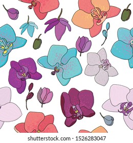 phalaenopsis orchid vector seamless pattern without background
