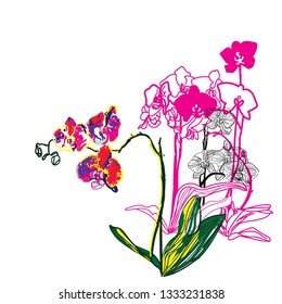 
Phalaenopsis orchids. Stylish modern pattern with flowers. Pop art sketch.