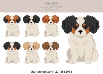 Phalene, Drop - eared Papillon puppies clipart. Different poses, coat colors set.  Vector illustration