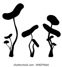 phalloides mushroom siluet