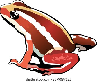 The phantasmal poison frog (Epipedobates tricolor) is a small but highly toxic species of poison dart frog known for its vibrant coloration and potent skin toxins.