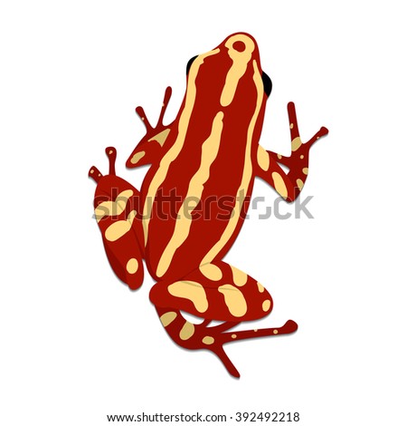 Phantasmal poison frog, flat design. Vector illustration of red frog on white background. Poisonous frog. Isolated tree frog epipedobates tricolor, top view