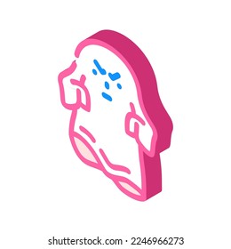 phantom ghost isometric icon vector. phantom ghost sign. isolated symbol illustration