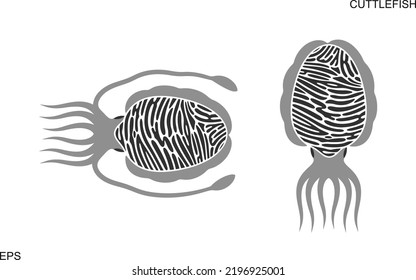 Pharaoh cuttlefish logo. Set. Isolated cuttlefish on white background