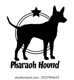 Pharaoh Hound. dog silhouette,  dog, dog breeds, logo, vector, silhouette, logo design, animal, illustration, icon, sign, design, black,  symbol, pet