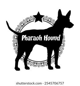 Pharaoh Hound dog silhouette, dog, dog breeds,  vector, silhouette, logo design, animal, illustration, icon, sign, black, pet