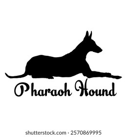 Pharaoh Hound dog silhouette, dog breeds, logo, vector, silhouette,  animal, illustration, icon, sign, design, black, symbol, pet, love
