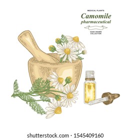 Pharmaceutical camomile plant hand drawn. Chamomile flowers with wodden mortar isolated on white background. Medical gerbs collection. Vector illustration botanical.