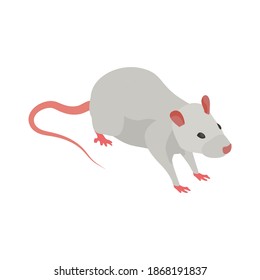 Pharmaceutical production with medical laboratory rat vector illustration