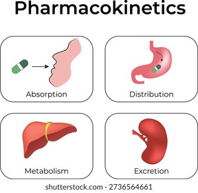 Pharmacokinetics ADME Process Explained diagrame